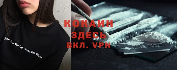 дурь Бронницы