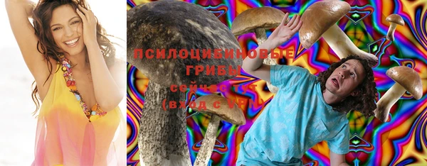 мескалин Бородино